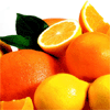 Sicilian citrus fruits 
