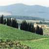 A view of Chianti 